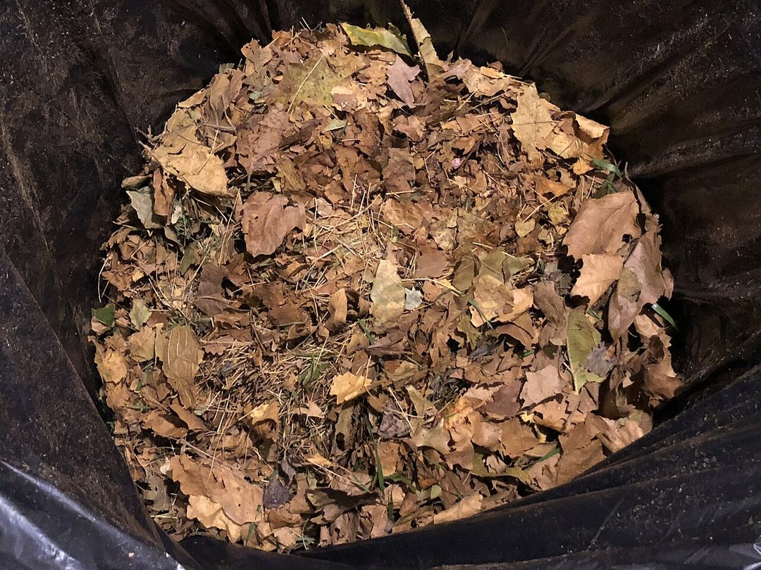 Evansville's fall leaf pickup starts Oct. 26 and runs through Dec. 11