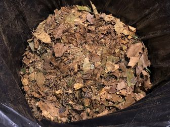 Evansville's fall leaf pickup starts Oct. 26 and runs through Dec. 11